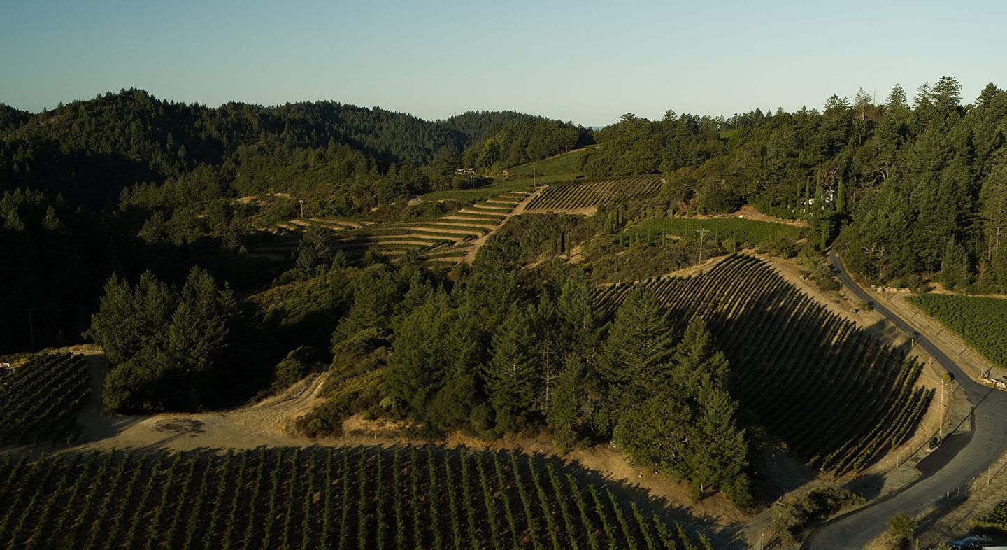 Napa Valley Winery Map