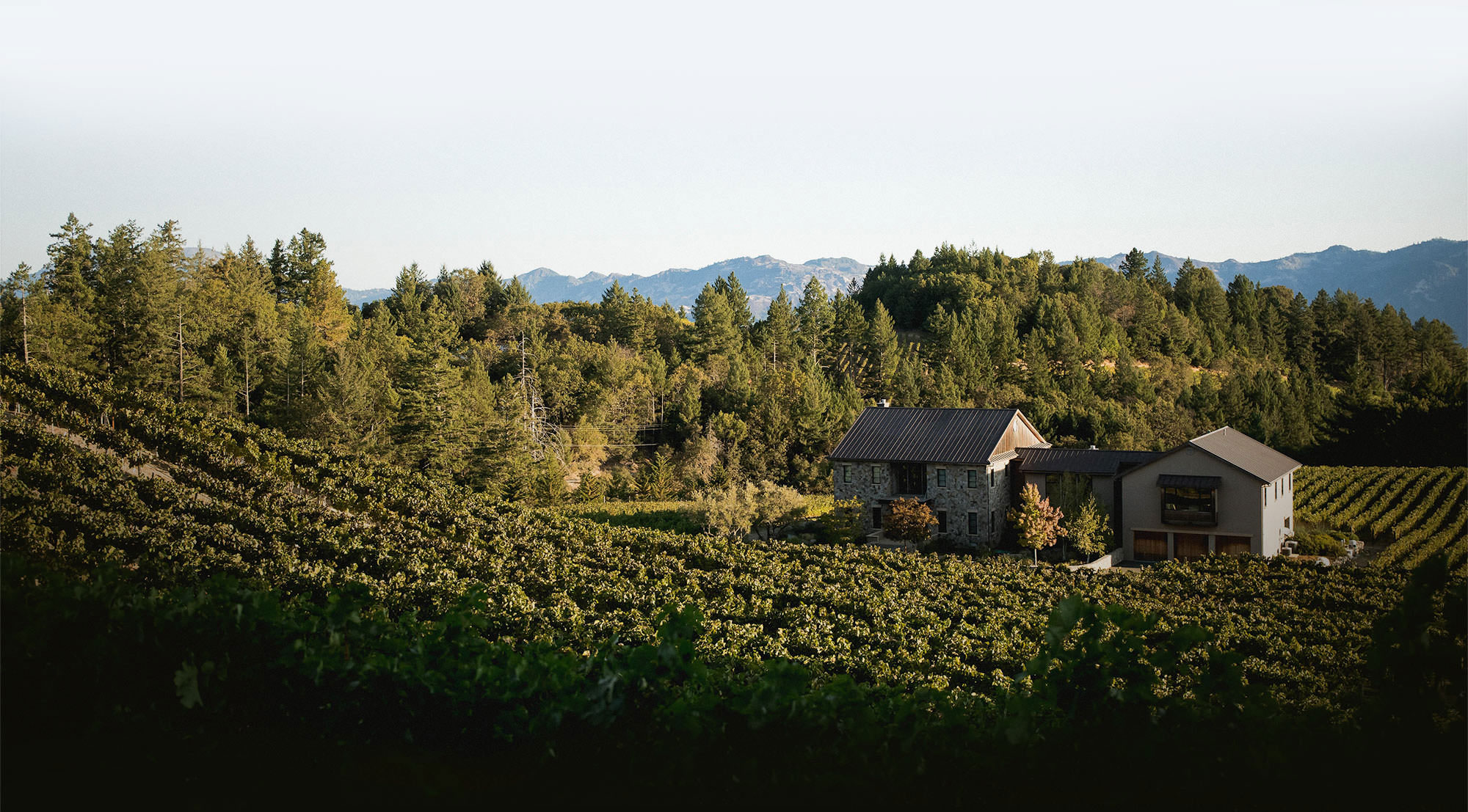 Napa Valley Climate