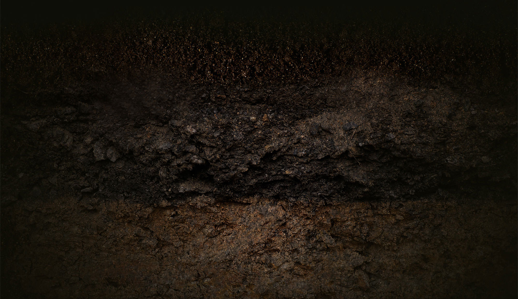 Napa Valley Soils