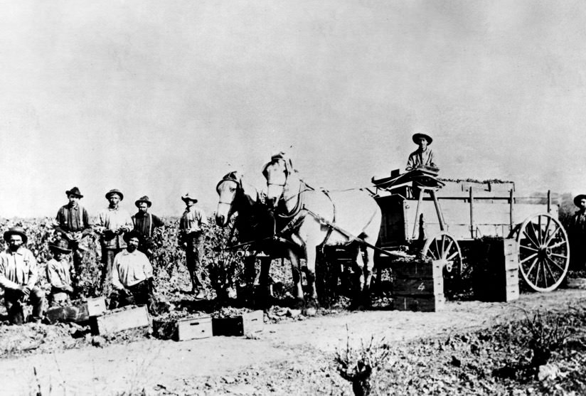 Napa Valley 1850