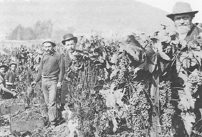 Napa Valley 1870s