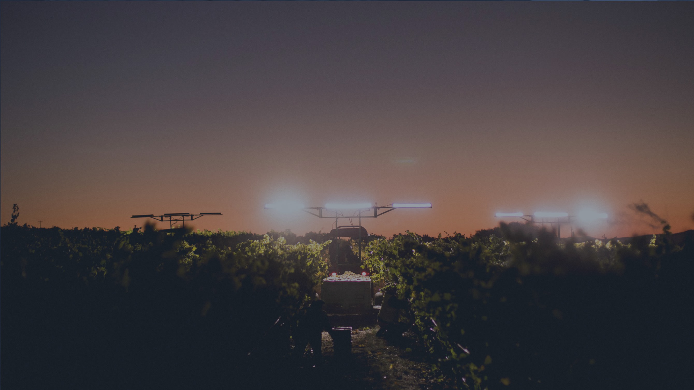 Napa Valley in 2020